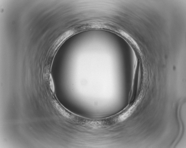 X0000086960801200704231449