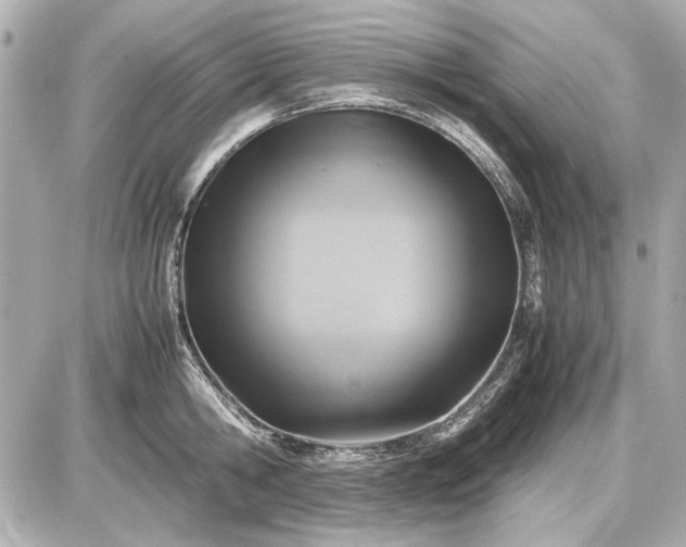 X0000086960806200704231449