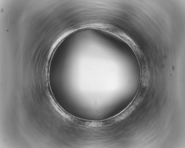 X0000086960808200704231449