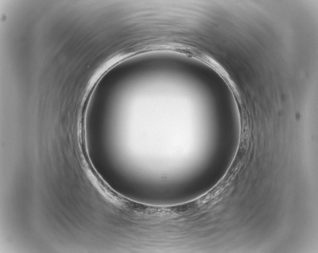 X0000086960811200704231449