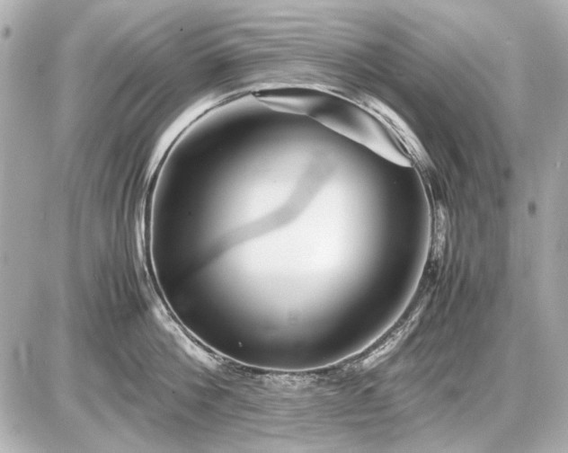 X0000086960812200704231449