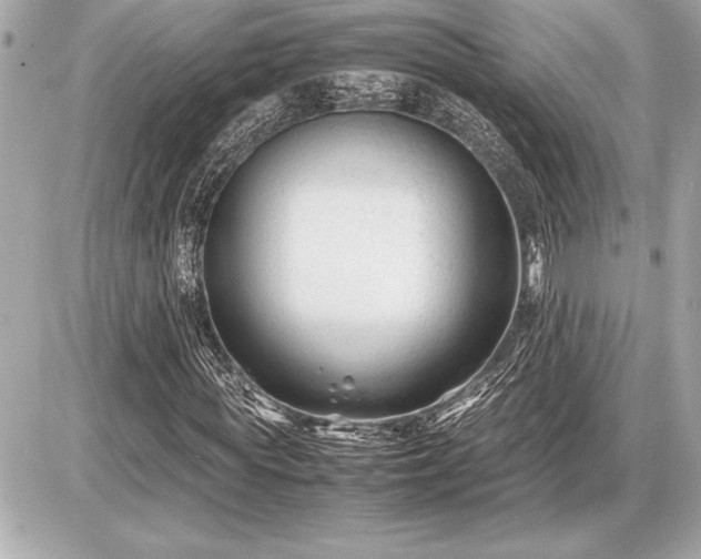 X0000086960819200704231448