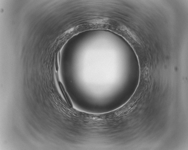 X0000086960821200704231448