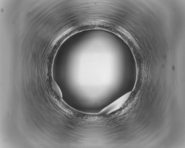 X0000086960826200704231448
