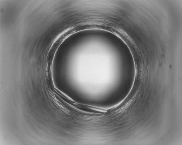 X0000086960830200704231448