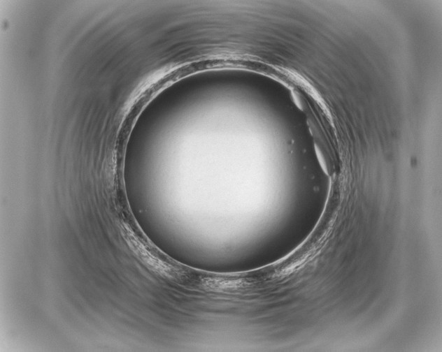 X0000086960831200704231448
