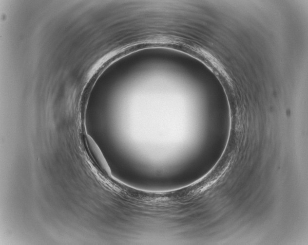 X0000086960837200704231448