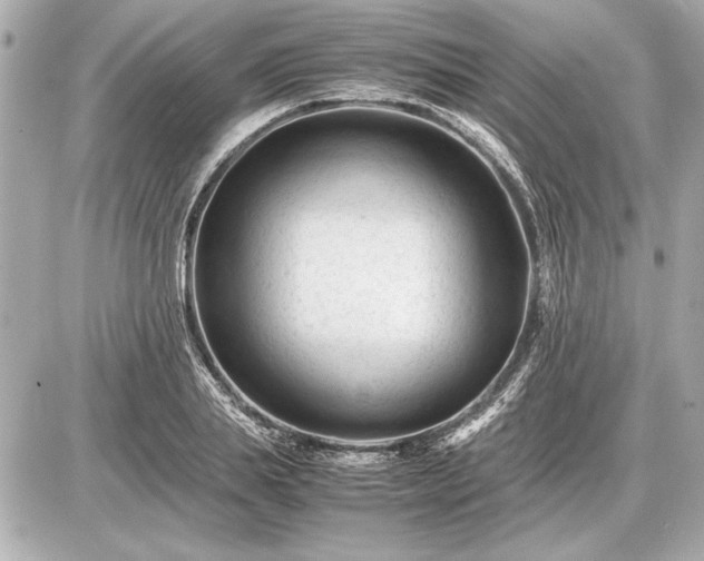 X0000086960839200704231448
