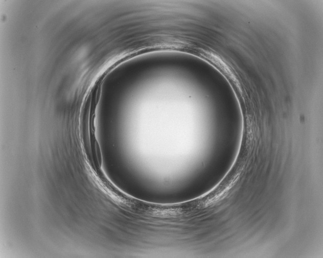X0000086960843200704231448