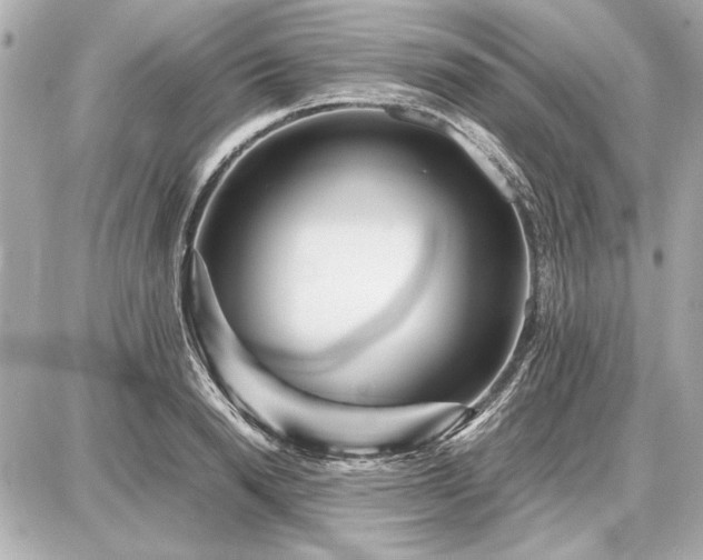 X0000086960846200704231448