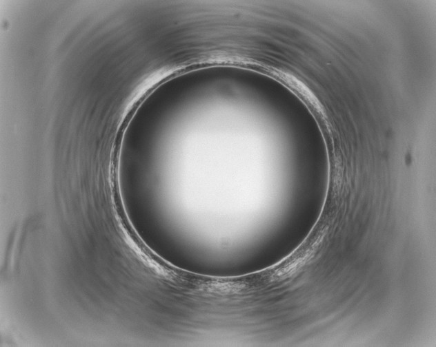 X0000086960847200704231448