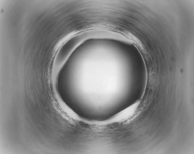 X0000086960854200704231449