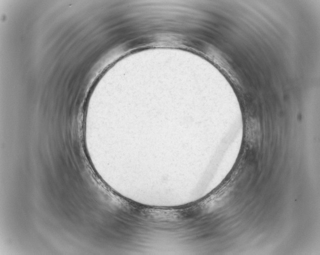 X0000086960856200704231449