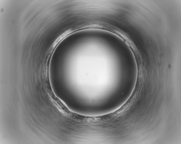 X0000086960858200704231449