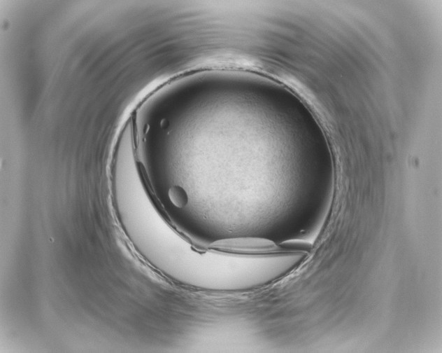X0000086960864200704231449
