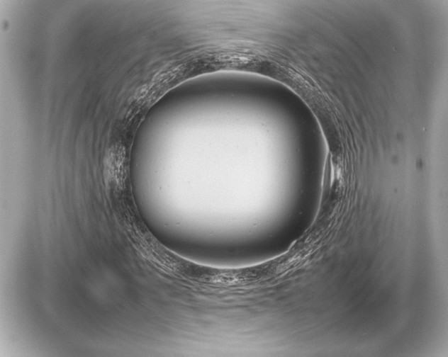 X0000086960867200704231448