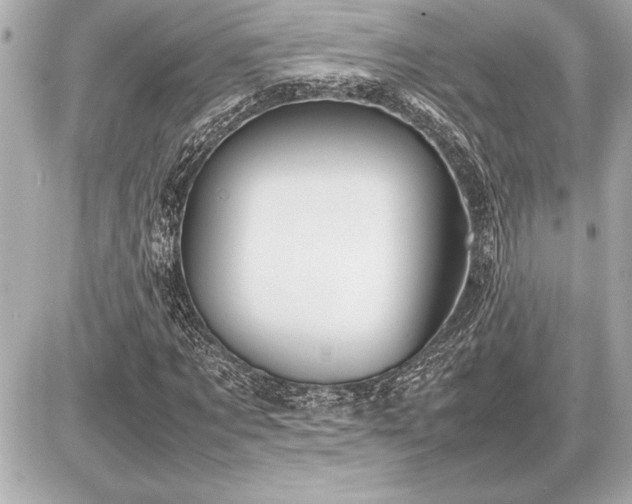 X0000086960869200704231448