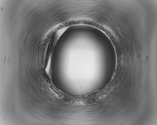X0000086960872200704231448