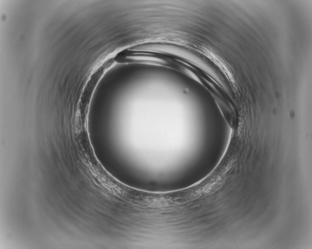 X0000086960876200704231448