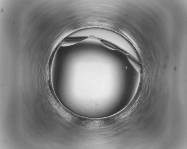 X0000086960891200704231448