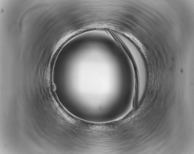 X0000086960894200704231447