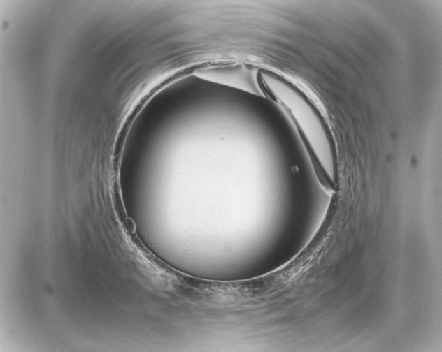 X0000086960895200704231447