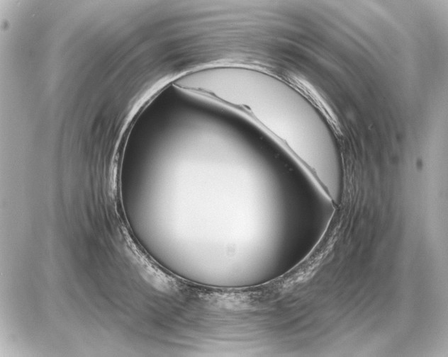 X0000086960900200704231447