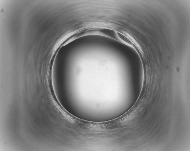 X0000086960901200704231447