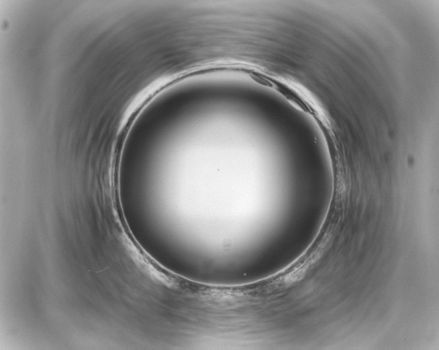 X0000086960910200704231447