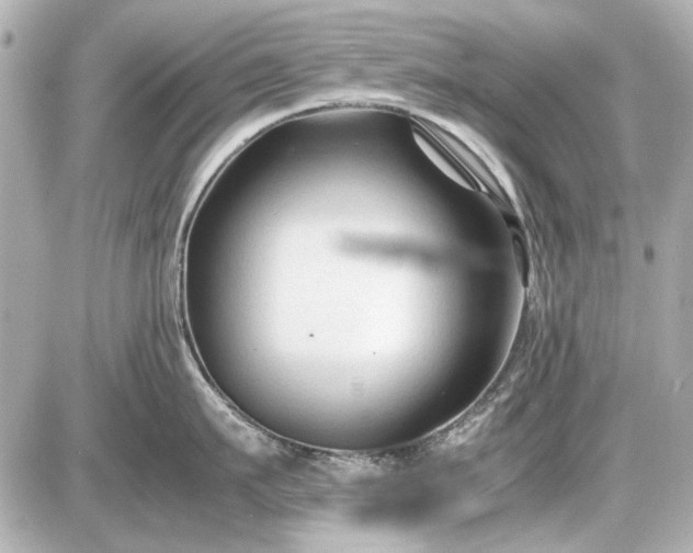 X0000086960911200704231447