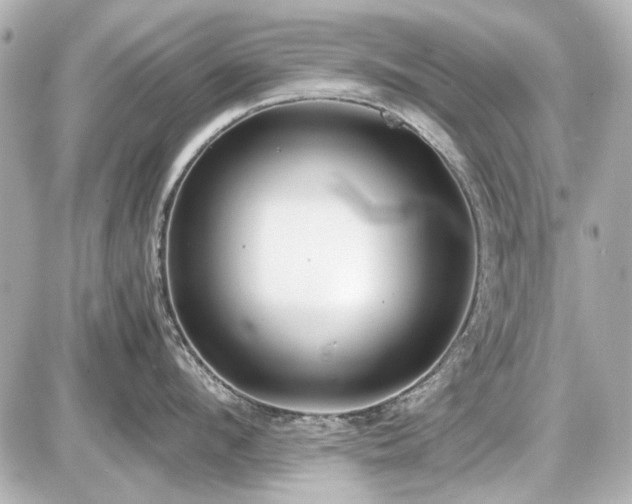 X0000086960912200704231447