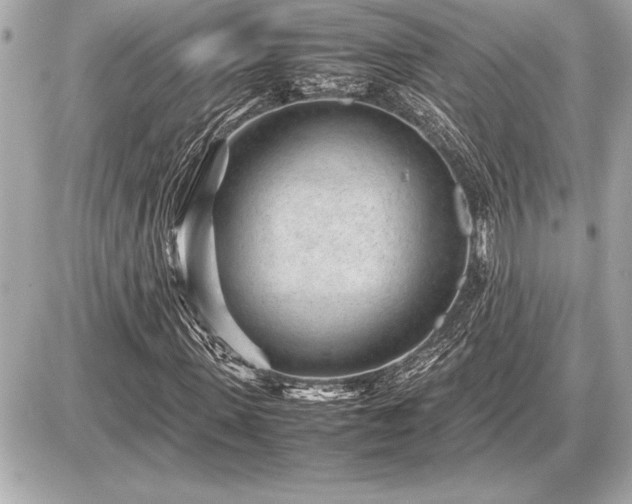 X0000086960915200704231446