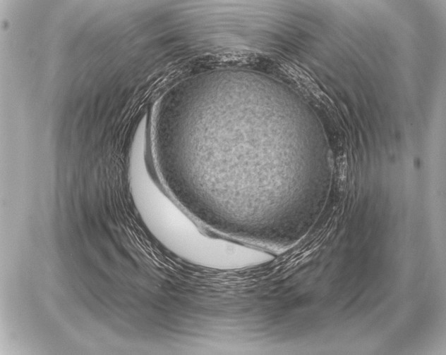 X0000086960916200704231446