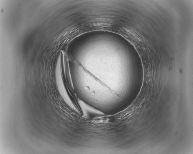 X0000086960917200704231446