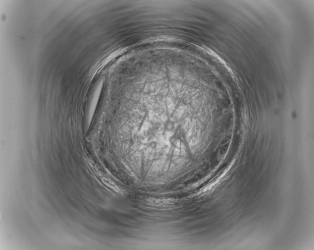 X0000086960921200704231447