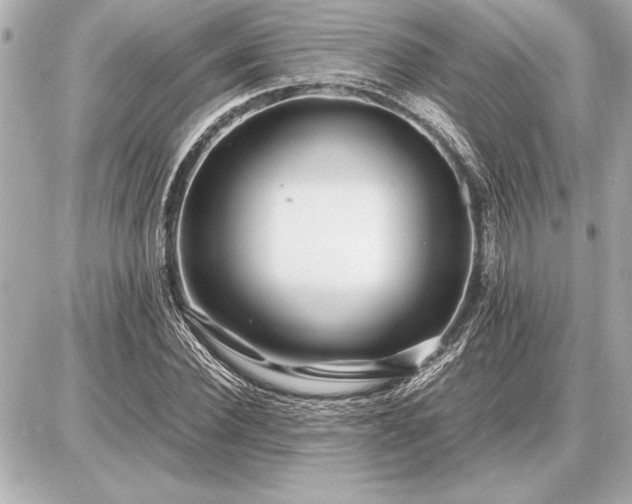X0000086960924200704231447