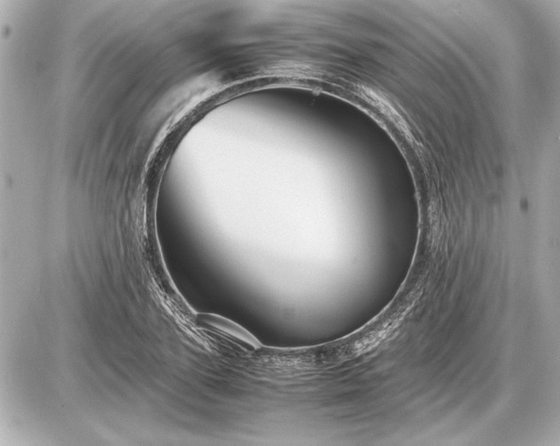 X0000086960931200704231447