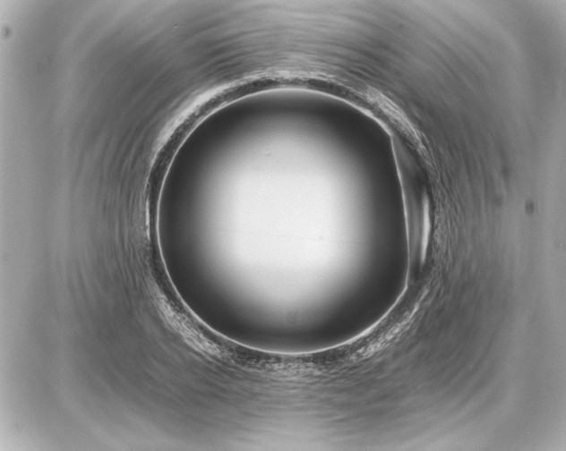 X0000086960934200704231447