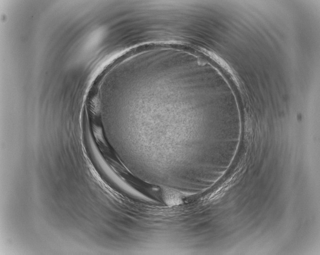X0000086960935200704231447