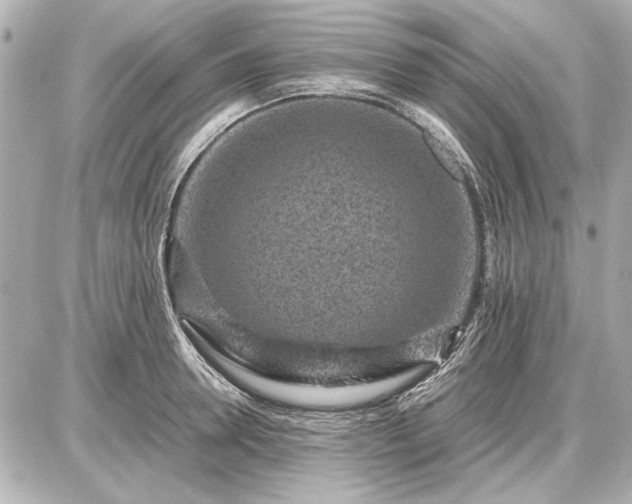 X0000086960946200704231447
