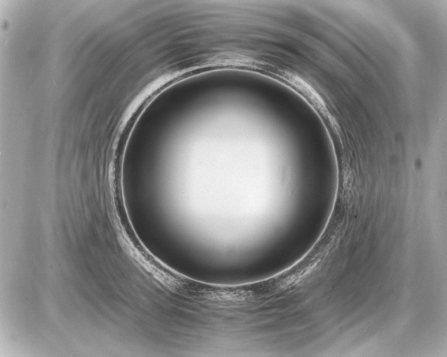 X0000086960947200704231447