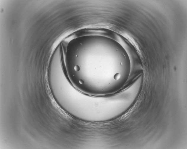 X0000086960952200704231447