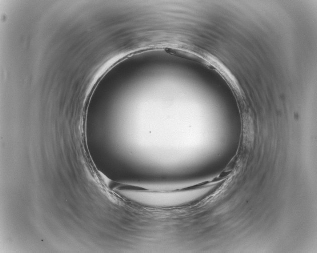 X0000086960956200704231447
