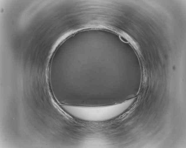 X0000086960958200704231447