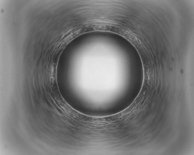 X0000086960964200704231446