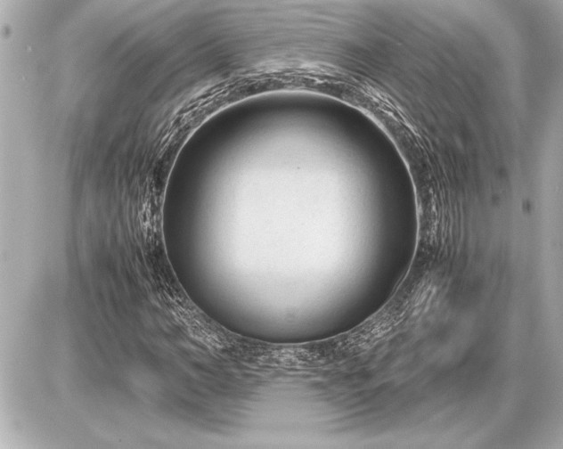 X0000086960966200704231446