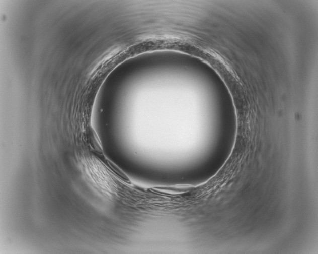 X0000086960967200704231446