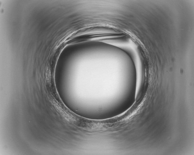 X0000086960969200704231446
