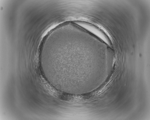 X0000086960975200704231446