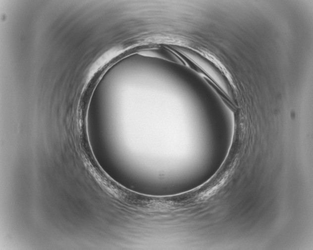 X0000086960981200704231446